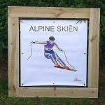 Olympisch Alpine Skien